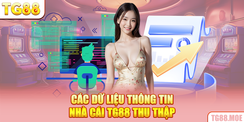 Các dữ liệu thông tin nhà cái TG88 thu thập