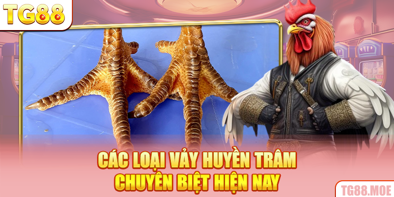 Các loại vảy huyền trâm chuyên biệt hiện nay