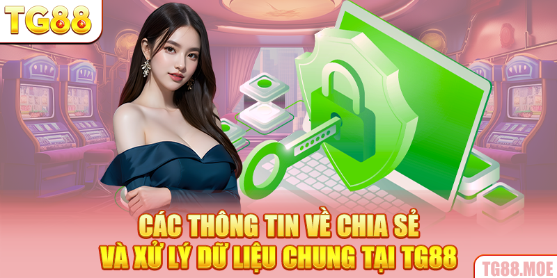 Các thông tin về chia sẻ và xử lý dữ liệu chung tại TG88