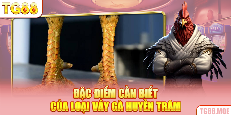 Đặc điểm cần biết của loại vảy gà huyền trâm