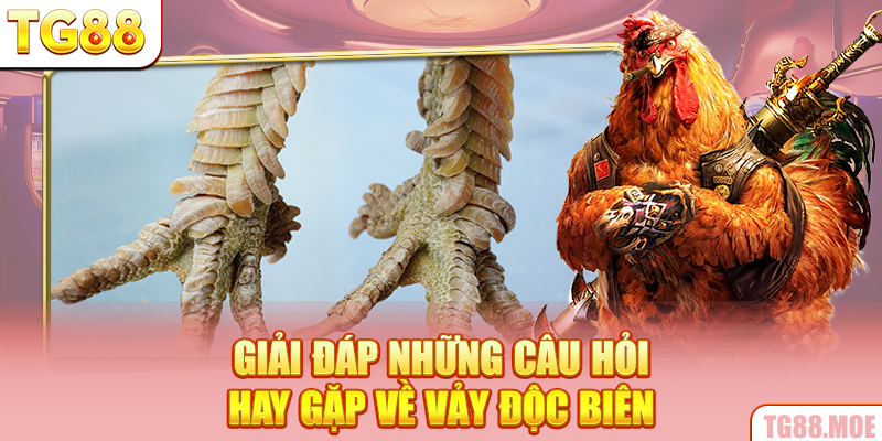 Giải đáp những câu hỏi hay gặp về vảy độc biên