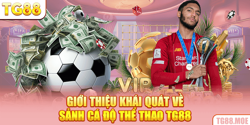 Giới thiệu khái quát về sảnh cá độ thể thao TG88