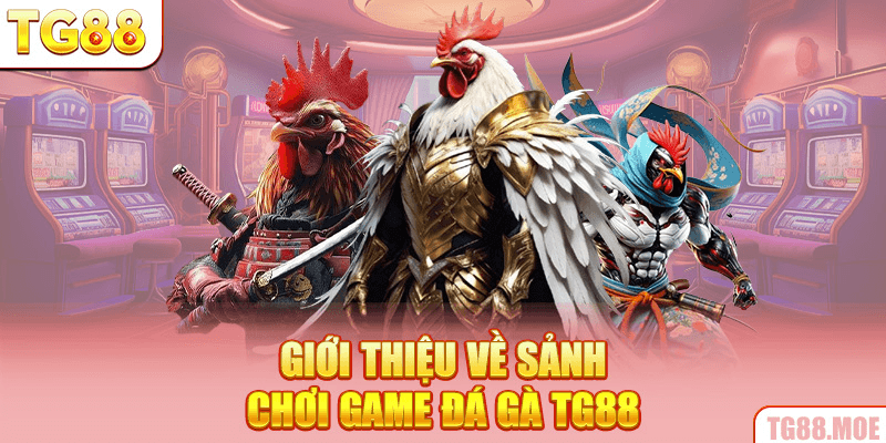 Giới thiệu về sảnh chơi game đá gà TG88