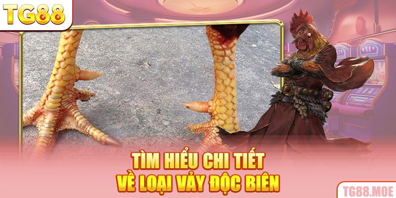 Tìm hiểu chi tiết về loại vảy độc biên
