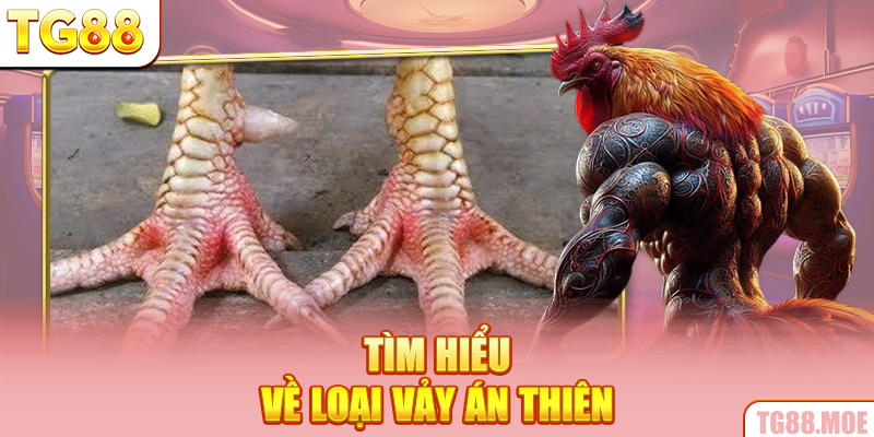 Tìm hiểu về loại vảy Án Thiên