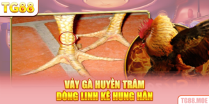 Vảy Gà Huyền Trâm - Dòng Linh Kê Hung Hãn