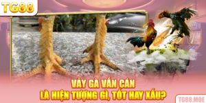 Vảy Gà Vấn Cán Là Hiện Tượng Gì, Tốt Hay Xấu?
